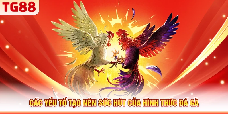 Các yếu tố tạo nên sức hút của hình thức đá gà