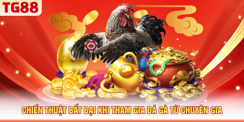 Chiến thuật bất bại khi tham gia đá gà từ chuyên gia