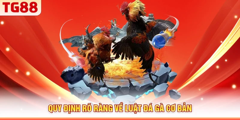 Quy định rõ ràng về luật đá gà cơ bản