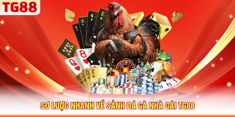 Sơ lược nhanh về sảnh đá gà nhà cái TG88