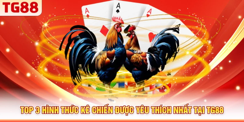 Top 3 hình thức kê chiến được yêu thích nhất tại TG88